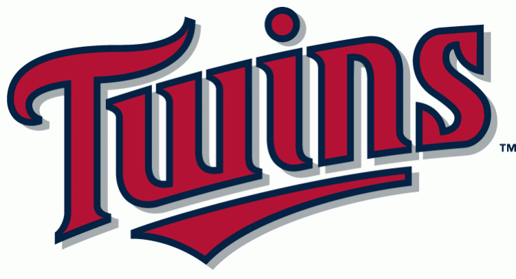 Minnesota Twins 2010-Pres Wordmark Logo fabric transfer